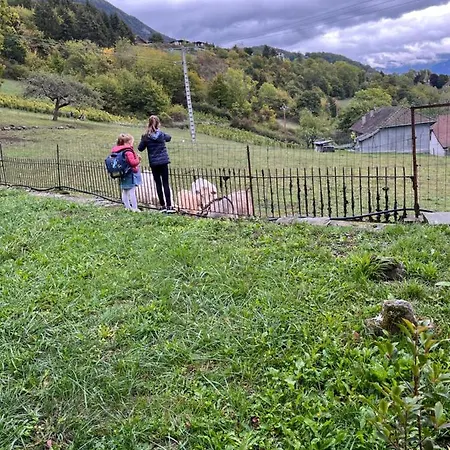 Entre Vignes Et Montagnes *