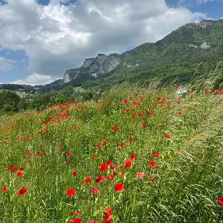 Entre Vignes Et Montagnes Apartamento *